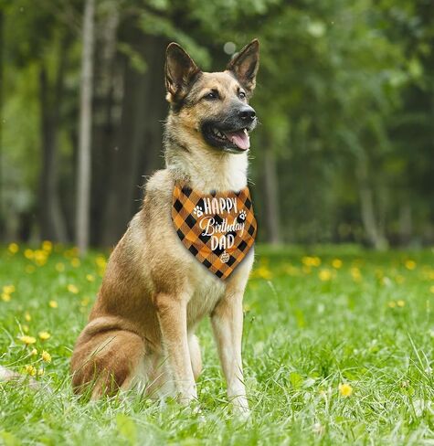 Dog Bandana,Happy Birthday Dad Dog Bandana, Dog Scarf Classical White Printing, Dog Scarf Accessories, Dog Bandana Pet Scarf, Pet Scarf Accessories, Dog Bandana Gift for Dad Birthday Party (K30) in Saudi Arabia