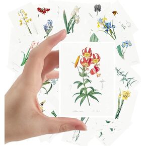 Large Stickers 24 pcs (2.5"x3.5" Each) Iris Lillies Vintage Botannical Books Illustrations by Redoute Retro Postcards Greeting Card Reprint