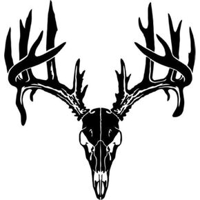 Deer Buck Skull Antlers Hunter Hunting Sportsman Car Truck Windows Decal Sticker - Die cut vinyl decal for windows, cars, trucks, tool boxes, laptops, MacBook - virtually any hard, smooth surface