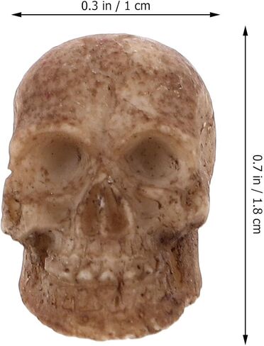 FOMIYES 20pcs Mini Resin Skull Heads Realistic Skull Head Models Halloween Miniature Skeleton Bone Prank Props for Halloween Treat or Trick Accessories in Kuwait