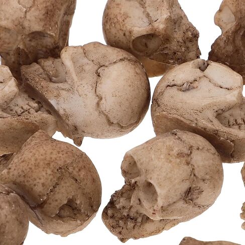 FOMIYES 20pcs Mini Resin Skull Heads Realistic Skull Head Models Halloween Miniature Skeleton Bone Prank Props for Halloween Treat or Trick Accessories in Kuwait