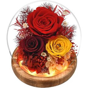 Gifts for Women, Mom, Grandma, Flowers for Delivery Prime, Preserved Flowers in Glass with LED Light, Forever Rose Gifts for Birthday, Christmas, Valentines, Mothers Day, Indoor Decor (Blue)