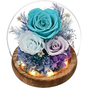 Gifts for Women, Mom, Grandma, Flowers for Delivery Prime, Preserved Flowers in Glass with LED Light, Forever Rose Gifts for Birthday, Christmas, Valentines, Mothers Day, Indoor Decor (Blue)