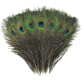 10 Pcs Ethically Sourced Genuine Peacock Feathers 10-12 Inches Odor-Free for Crafts, Décor Festive Attire, Halloween Costumes & Weddings Vibrant Eye Design Embodying Nature's Enchanting Magic