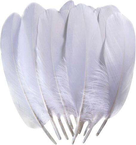 TommoT 100 Pcs 6-8 Inch Natural Large White Goose Feathers for Dream Catcher Crafts and Clothing Decoration in Saudi Arabia