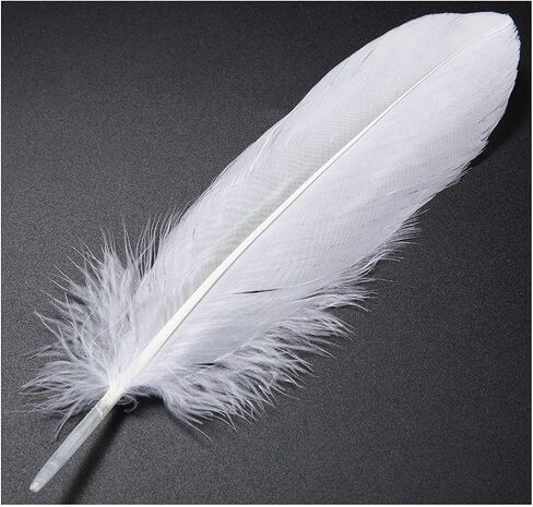 TommoT 100 Pcs 6-8 Inch Natural Large White Goose Feathers for Dream Catcher Crafts and Clothing Decoration in Saudi Arabia