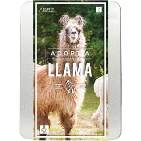 هدية ريبابلك لاما تبنيها - علبة تبني الحيوانات الخيرية، متعددة الألوان، GR100051 in Kuwait