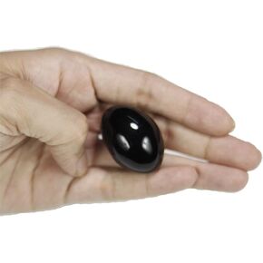 ASHIRWAD Rare Original Shaligram Stone Shivlingam Natural Pure Lakshmi Narayan sacred Salagram from Gandaki River Fossil Saligramam Shila (2 Pieces)
