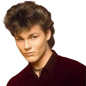 Men's 80s Short Black Mullet Wig, Disco Rocker Punk Synthetic Cosplay Halloween Wig