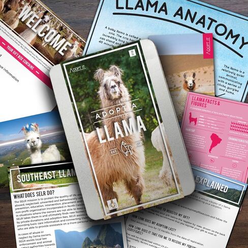 هدية ريبابلك لاما تبنيها - علبة تبني الحيوانات الخيرية، متعددة الألوان، GR100051 in Kuwait