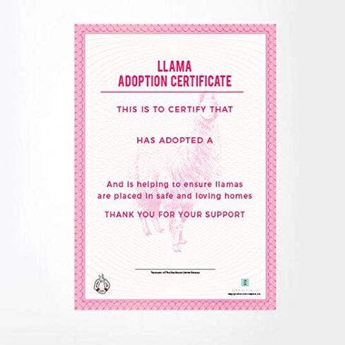 هدية ريبابلك لاما تبنيها - علبة تبني الحيوانات الخيرية، متعددة الألوان، GR100051 in Kuwait