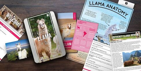 هدية ريبابلك لاما تبنيها - علبة تبني الحيوانات الخيرية، متعددة الألوان، GR100051 in Kuwait