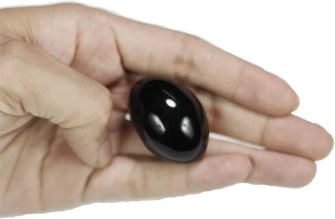 ASHIRWAD Rare Original Shaligram Stone Shivlingam Natural Pure Lakshmi Narayan sacred Salagram from Gandaki River Fossil Saligramam Shila (2 Pieces) in Saudi Arabia