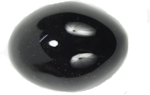 ASHIRWAD Rare Original Shaligram Stone Shivlingam Natural Pure Lakshmi Narayan sacred Salagram from Gandaki River Fossil Saligramam Shila (2 Pieces) in Saudi Arabia