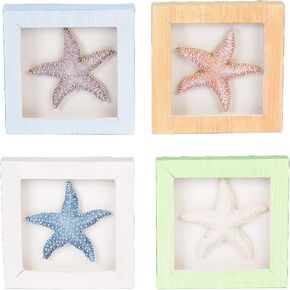 Beachcombers SS-BCS-03037 لمسات ديكور المنزل، متعددة in Kuwait