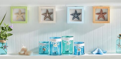 Beachcombers SS-BCS-03037 لمسات ديكور المنزل، متعددة in Kuwait