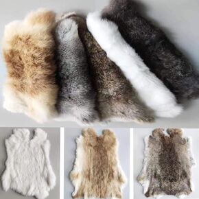 Assorted Bulk Grade Natural Rabbit Pelt with Fur (10" by 14") Rabbit Skins Fur Hide Leather for Decoration Crafts Cat/Dog Toys Soft Professionally Tanned Sewing Quality 5pack