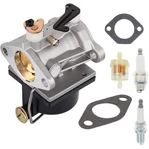Cnfaner 640065 640065A Carburetor for Tecumseh OHV110 OHV115 OHV120 OHV125 OHV130 OHV135 Mower Engines