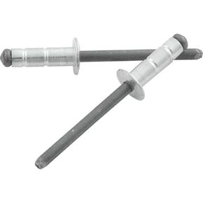 Allstar Performance -ALL18110 Silver 3/16" Multi-Grip Head Rivet