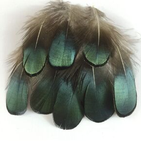 50 قطعة من ريش الدراج من Shekyeon باللون الأخضر الطبيعي للسيدات مقاس 2-3 بوصة من ريش الدراج البرونزي قزحي الألوان لحرف الخياطة وإكسسوارات تزيين ملابس الزفاف in Kuwait
