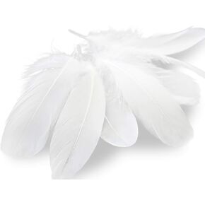 Piokio 30 pcs Metallic Gold Dipped Red Feathers 4-6 inch(10-15 cm) for Cupcake Decorations, DIY Art and Dreamcatcher in Kuwait