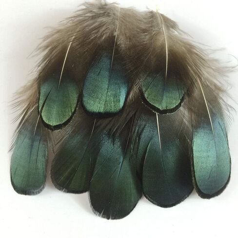 50 قطعة من ريش الدراج من Shekyeon باللون الأخضر الطبيعي للسيدات مقاس 2-3 بوصة من ريش الدراج البرونزي قزحي الألوان لحرف الخياطة وإكسسوارات تزيين ملابس الزفاف in Kuwait