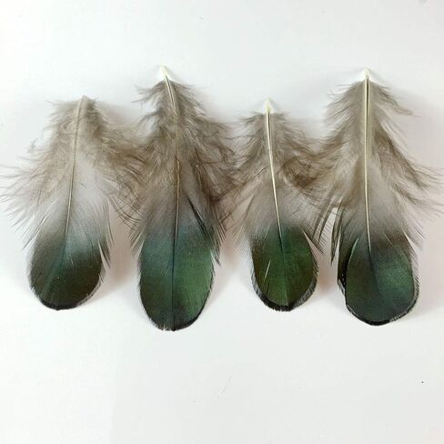 50 قطعة من ريش الدراج من Shekyeon باللون الأخضر الطبيعي للسيدات مقاس 2-3 بوصة من ريش الدراج البرونزي قزحي الألوان لحرف الخياطة وإكسسوارات تزيين ملابس الزفاف in Kuwait