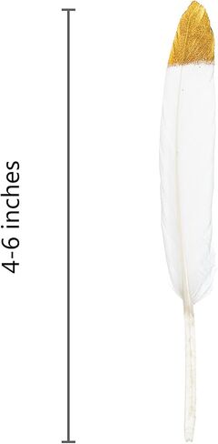 Piokio 30 pcs Metallic Gold Dipped Red Feathers 4-6 inch(10-15 cm) for Cupcake Decorations, DIY Art and Dreamcatcher in Saudi Arabia