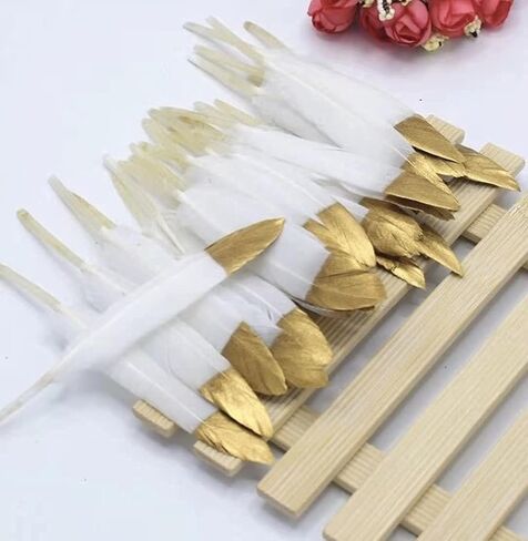 Piokio 30 pcs Metallic Gold Dipped Red Feathers 4-6 inch(10-15 cm) for Cupcake Decorations, DIY Art and Dreamcatcher in Saudi Arabia