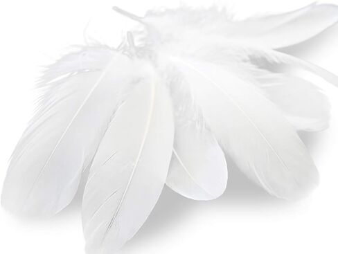 Piokio 30 pcs Metallic Gold Dipped Red Feathers 4-6 inch(10-15 cm) for Cupcake Decorations, DIY Art and Dreamcatcher in Kuwait