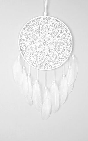 Piokio 30 pcs Metallic Gold Dipped Red Feathers 4-6 inch(10-15 cm) for Cupcake Decorations, DIY Art and Dreamcatcher in Kuwait