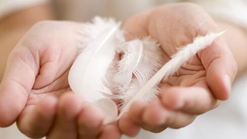 Piokio 30 pcs Metallic Gold Dipped Red Feathers 4-6 inch(10-15 cm) for Cupcake Decorations, DIY Art and Dreamcatcher in Kuwait