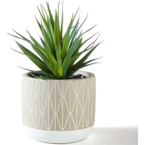 Kurrajong Farmhouse Artificial Plant | 8" Fake Plant for Desk Decor | Artificial Succulent in Pot | Fake Succulent | Faux Plant Indoor | Succulent Plant Artificial | Faux Succulent for Shelf Decor
