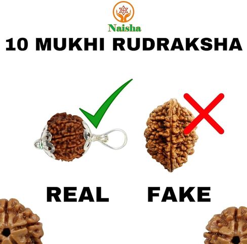 NAISHA Himalayan 10 Mukhi Rudraksha Bead، 100% قلادة بذور Rudraksha الأصلية والمعتمدة بنسبة 100%، خرزة Rudraksha بوجا/الصلاة/التأمل in Kuwait