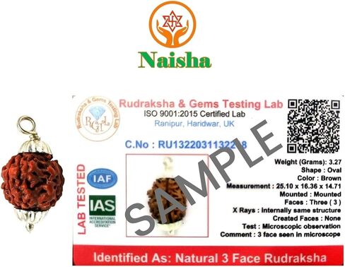 NAISHA Himalayan 10 Mukhi Rudraksha Bead، 100% قلادة بذور Rudraksha الأصلية والمعتمدة بنسبة 100%، خرزة Rudraksha بوجا/الصلاة/التأمل in Kuwait
