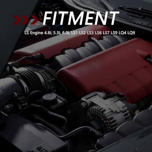 LS Rear Main Cover Alignment Tool & Seal Installer Compatible with GM Gen III & IV Engines Chevy 4.8 5.3 6.0L LS1 LS2 LS3 LS6 LS7 LS9 LQ4 LQ9 in Saudi Arabia