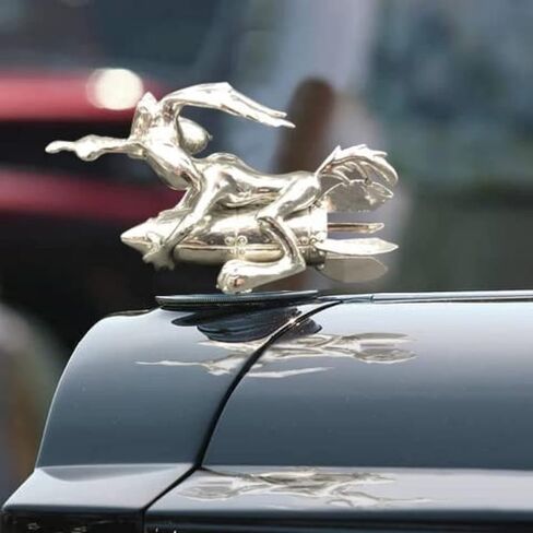 Coyote Trucks Hood Ornament Cartoon Vintage Car Ornaments Inspired by The Classic Animation Metal Rocket Hood Decoration Suitable for All Types of Cars Bonnet Motorcycles Styling in Saudi Arabia