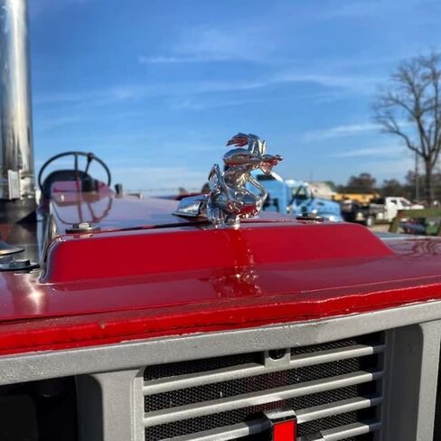 Coyote Trucks Hood Ornament Cartoon Vintage Car Ornaments Inspired by The Classic Animation Metal Rocket Hood Decoration Suitable for All Types of Cars Bonnet Motorcycles Styling in Saudi Arabia