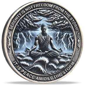 Serenity Peace Within The Storm Sobriety Chip AA Medallion with Serenity Prayer Perfect for AA Recovery and Motivation (Single Coin)