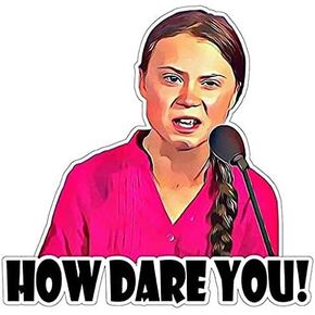 Greta Thunberg Truck Car RV Van ATV How Dare You - Sticker Graphic - Weatherproof & Long Lasting Sticker