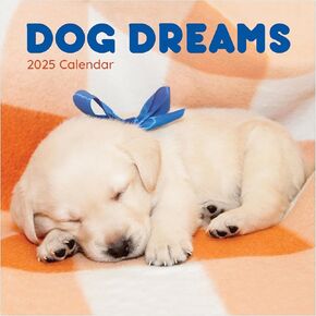 TF PUBLISHING 2025 Dog A Day Daily Desktop Calendar - Home and Office Organization - Over 300 Full-Color Easy Tear-Off Pages - Attached Fold-Out Cardboard Easel for Desks - 5.25" x 5.25"