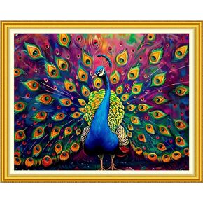 Funchey Stamped Cross Stitch Kits, DIY Cross Stitch Pattern for Adults Beginners Needlepoint Kits Embroidery Kit Arts and Crafts 11CT-Van Gogh Starry Sky 18x18 inch