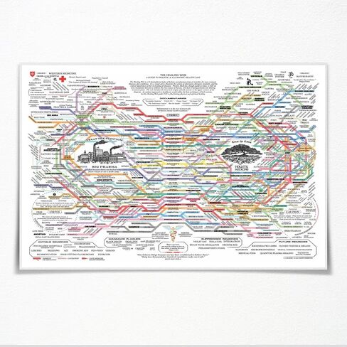 Healing Web Poster Natural Remedies Chart Print The Healing Web Holistic Health Map Poster Canvas Wall Art Mental Health Posters Traditional Therapies for Therapy Office Decor 18x12inch Unframed in Saudi Arabia