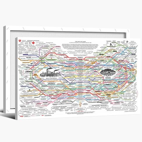 Healing Web Poster Natural Remedies Chart Print The Healing Web Holistic Health Map Poster Canvas Wall Art Mental Health Posters Traditional Therapies for Therapy Office Decor 18x12inch Unframed in Saudi Arabia