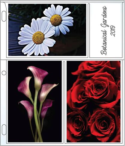 EnvyPak Photo Sheet Protector - Clear, 8.5 X 11 Inch, Holds 6 4" x 6" Inch Photos & Title Cards (6 Photos & 2 Cards per Page) - 3 Hole Punched - Pack of 50 in Saudi Arabia