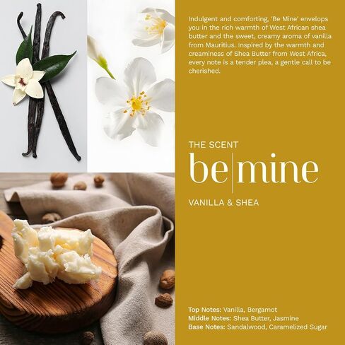 Home Fragrance Luxury Aroma Reed Diffuser - 7 fl oz - 4 Scent Variations - Refillable (Vanilla & Shea | BE Mine) in Saudi Arabia