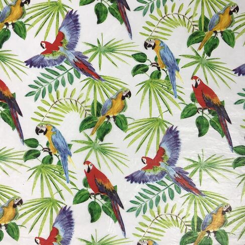Black Cat Avenue 20" x 30" Printed Tissue Paper for Gift Wrapping, 24-Sheet, Peacock in Saudi Arabia