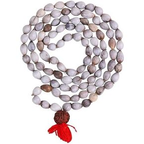 Vaijanti Mala/Natural Vaijanti Mala With Rudraksha/Vaijanti Mala Original 108 Rudraksh(Length: 36 Inches,Beads: 108+1), White