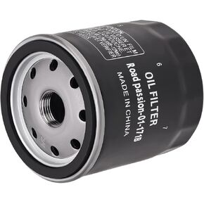 Road Passion Oil Filter 171B Replacement for HARLEY FLHTKSE CVO Limited 2014-2018/ FLHX Street Glide 2006-2018/ FLHXS Street Glide Special 2014-2018
