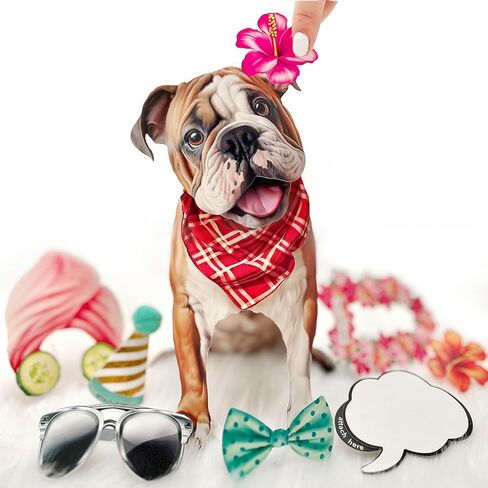 Freshcut Paper Pop Up Pet Cards, Gifts for Dog Lovers, Birthday Cards with Accessory Sheet, Note Card & Envelope, 3D Popup Greeting Cards, English Bulldog in Saudi Arabia